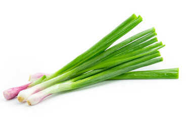 green onion isolated on white background