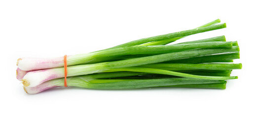 green onion isolated on white background