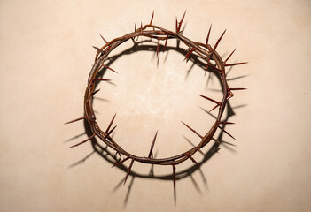 Crown of thorns on light background