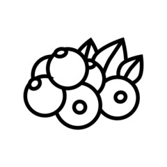 currant berry line icon vector. currant berry sign. isolated contour symbol black illustration