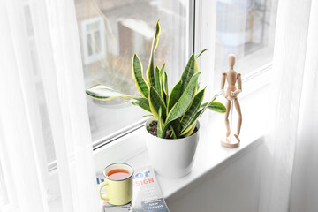 Green houseplant, cup of tea, magazines and wooden human figurine on window sill