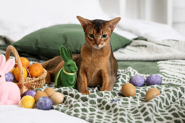 Fototapeta na wymiar Cute Abyssinian cat with basket of Easter eggs on bed at home
