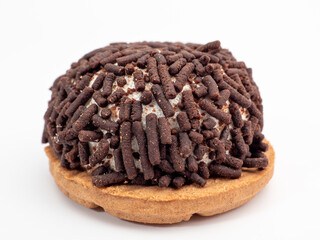 cake with chocolate chips on a white background.