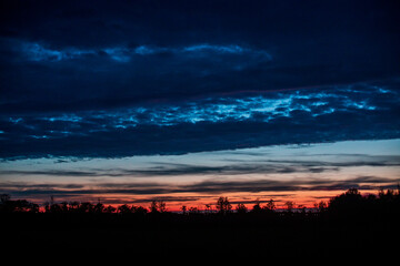 Sunset with the silhouette of the forest