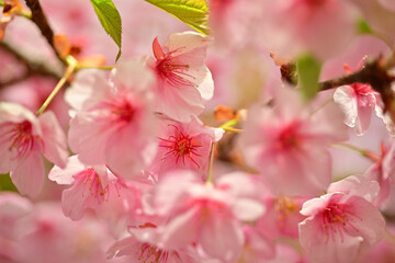 Spring is just around the corner