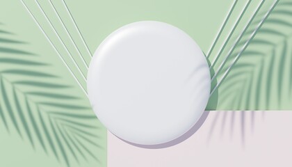 3d render top view of white blank cylinder frame for mock up and display products with shadows of palm leaves, earth tone, and pastel wall background. Creative idea concept. Widow shadow.