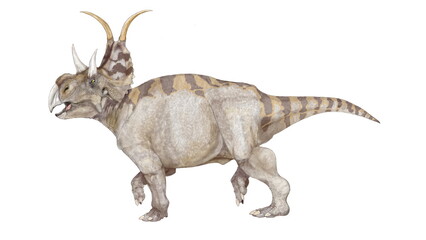 ディアブロケラトプスはアメリカ合衆国ユタ州の白亜紀後期の地層から発見された。原始的なセントロサウルスの仲間とされる。特徴的な目の上の長い角、フリルから伸びた禍々しい棘の印象からディアブロ（悪魔）のケラトプスとの学名を持つ。中型の角竜類であるが、頭部の角の位置や鼻の部分のフォルムはカスモサウルスに近いのではないかと思わせる。その分岐に遡る種類なのかもしれない。植物食、あるいは雑食。