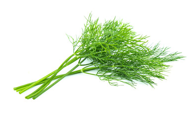 fresh dill green isolated on white background