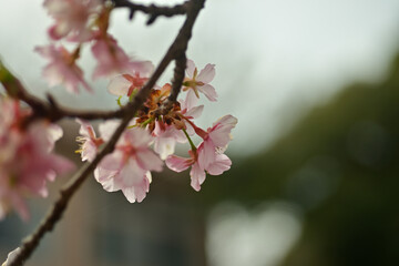 Spring is just around the corner