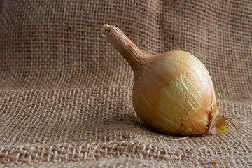 Closeup onion on burlap background. Dry onion side view.