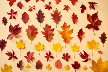 Autumn background with red, orange and yellow leaves, top view