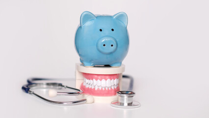 Piggy bank with White teeth model on white background. tax offset concept. Medical Expense...