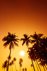 Tropical coconut palm trees silhouettes on beach at warm vivid sunset