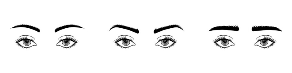 A set of eyes with different brow shapes.