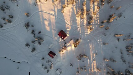 Houses with a red roof in the winter forest
