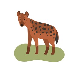 Hyena, wild African carnivore. Hyaena, savanna habitat. Crocuta with spotted fur. Africa wildlife. Savannah mammal. Flat vector illustration isolated on white background