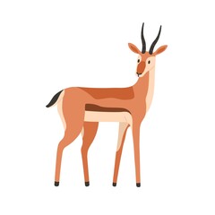 African antelope, savanna habitant. Gazelle, wild graceful animal with horns. Herbivorous mammal. Exotic fauna. Savannah inhabitant. Flat vector illustration isolated on white background
