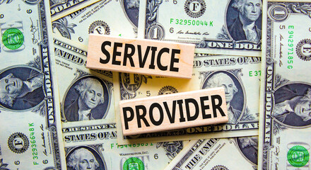 Service provider symbol. Concept words Service provider on wooden blocks on a beautiful background from dollar bills. Business services and service provider concept, copy space.