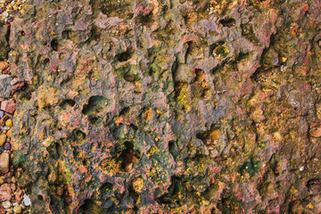 The surface of the old wall is so broken that the bricks inside can be seen.