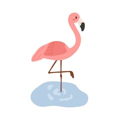 Flamingo, wild pink-feathered bird. African savanna habitant. Exotic tropical inhabitant. Jungle animal. Flat vector illustration isolated on white background