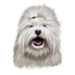 Combai, Kombai, Indian Terrier dog digital art illustration isolated on white background. Indian origin guardian dog. Cute pet hand drawn portrait. Hand drawn graphic clip art design for web, print.