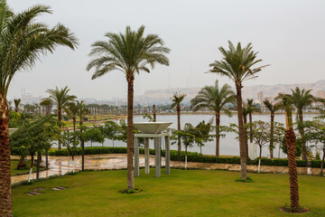 Fototapeta na wymiar Panorama of rainy and foggy city with buildings, a mosque Nile and palm trees. Cairo, Egypt