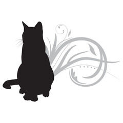 black cat
