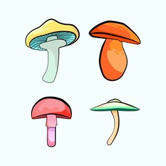 simple illustration of various ear mushrooms can be used for mushroom cultivation logos or icons