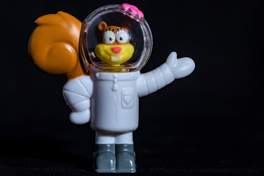 Sandra "Sandy" Jennifer Cheeks is one of the main characters in the SpongeBob SquarePants television series.