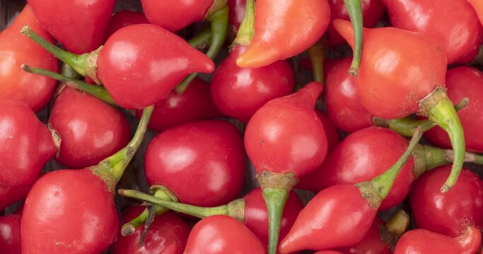 Closeup of a group of red pepper pout