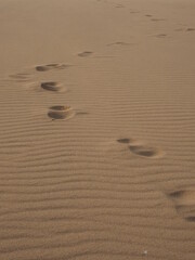 Fototapeta na wymiar 砂漠の砂の上にある人の足跡