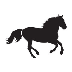 Obraz na płótnie Canvas elegant horse image