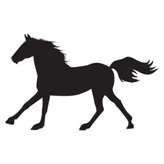 Obraz na płótnie Canvas elegant horse image
