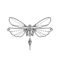 Thin linear butterfly monochrome   illustration
