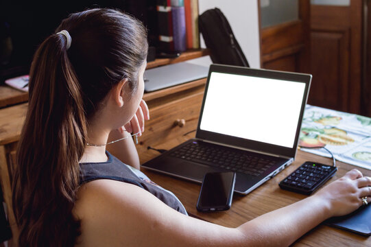 back view of young woman at home looking at the screen of her laptop