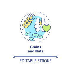 Grains and nuts concept icon. Food for healthy bones abstract idea thin line illustration. Osteoporosis risk prevention. Isolated outline drawing. Editable stroke. Arial, Myriad Pro-Bold fonts used