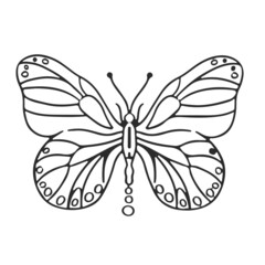Thin linear butterfly monochrome   illustration
