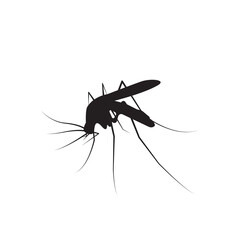mosquito icon