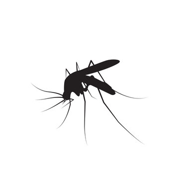 recommend clip art: mosquito icon