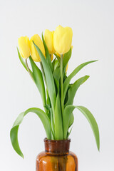 bouquet of yellow tulips in a white Scandinavian interior
