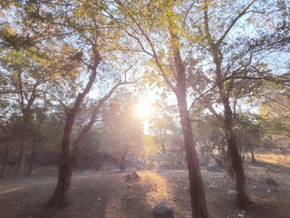 Wild life Sanctuary from India