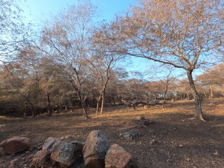 Wild life Sanctuary from India