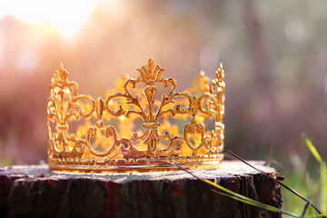 mysterious and magical photo of gold king crown in the woods. Medieval period concept.