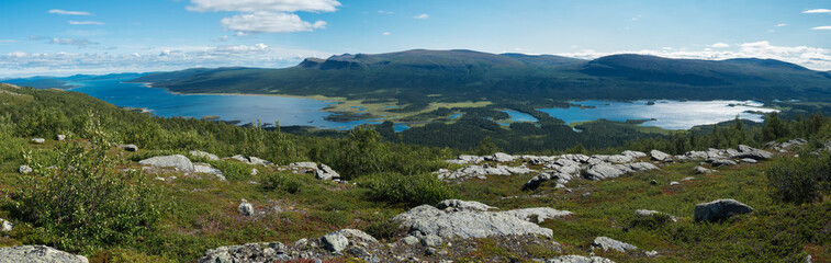 Fototapeta na wymiar Panoramic view on meandering Rapadalen river delta to Lajtavrre lake, valley in Sarek national park, Sweden Lapland. Nordic wild landscape with mountains, hill, rocks and birch trees. Summer sunny day
