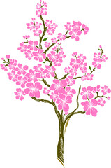 Branch of Cherry blossom on white.Vector illustration Sakura Flower,Nice Peach blossom isolated vector.Japanese floral.Nature background with blossom branch of sakura flower vector.Gold line apricot.