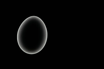 Silhouette of chicken egg on black background. Theme of birth of life. Concept. Copy space. Circular abstract object with path highlighting. Monochrome photography.