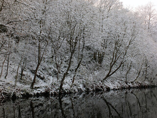 winter scene with snow covered frozen trees reflected in still dark water