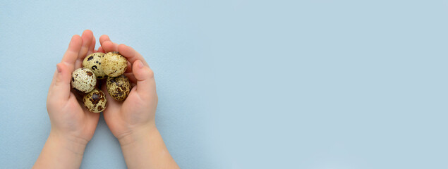 The child holds small quail eggs in his hands. Blue background. Spring. Preparing for Easter