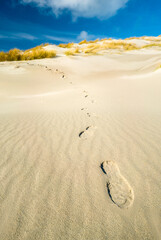 Bootprints coming down from the sand dune with yellow grass on top under bright blue sky. Sunny winter day on the island of Dune, Heligoland, Germany. Vacation in remote northern area without people.