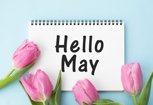 Hello May. text on white notepad paper on blue background. near notepad with pink flowers